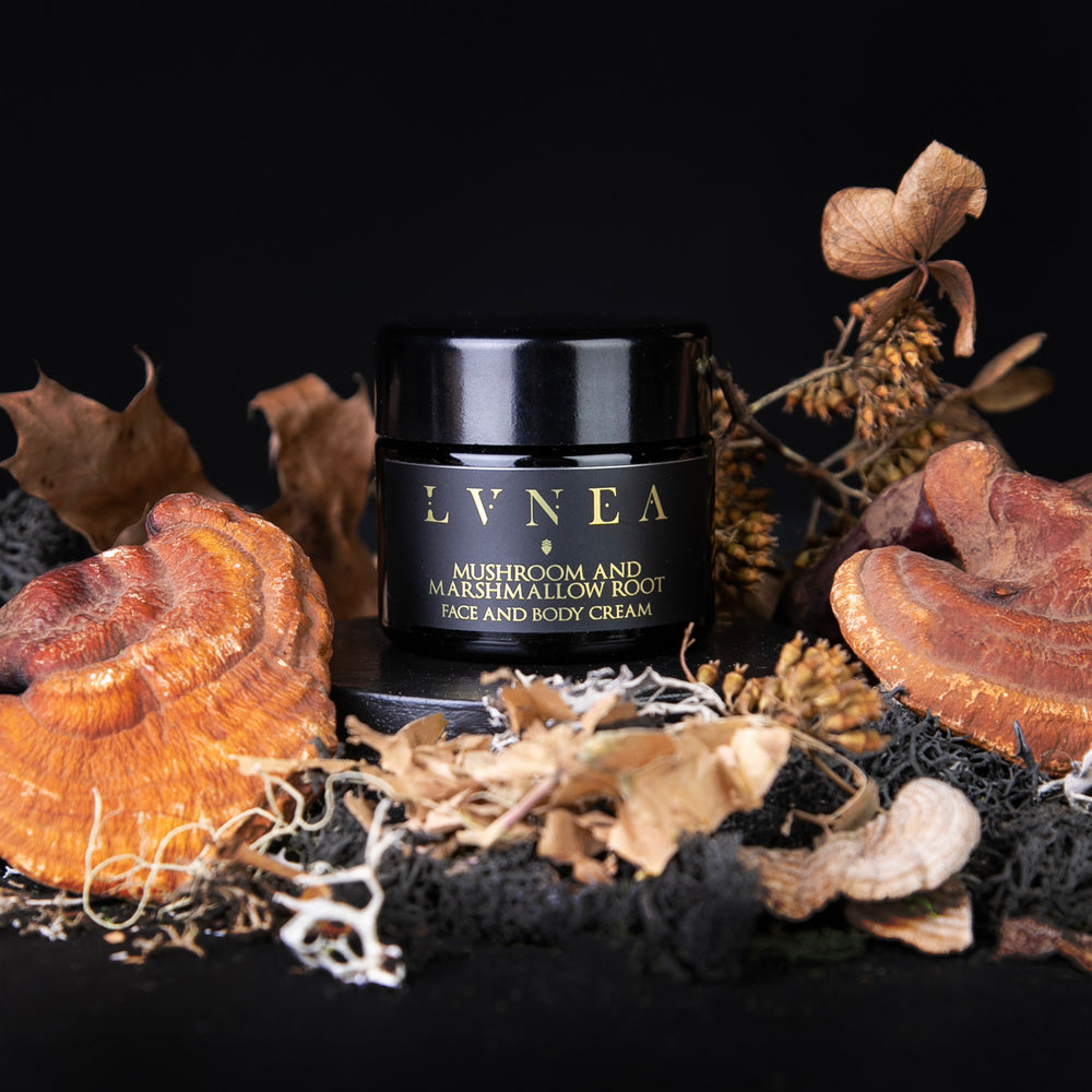 CHAMPIGNON & RACINE DE GUIMAUVE | Crème Visage et Corps