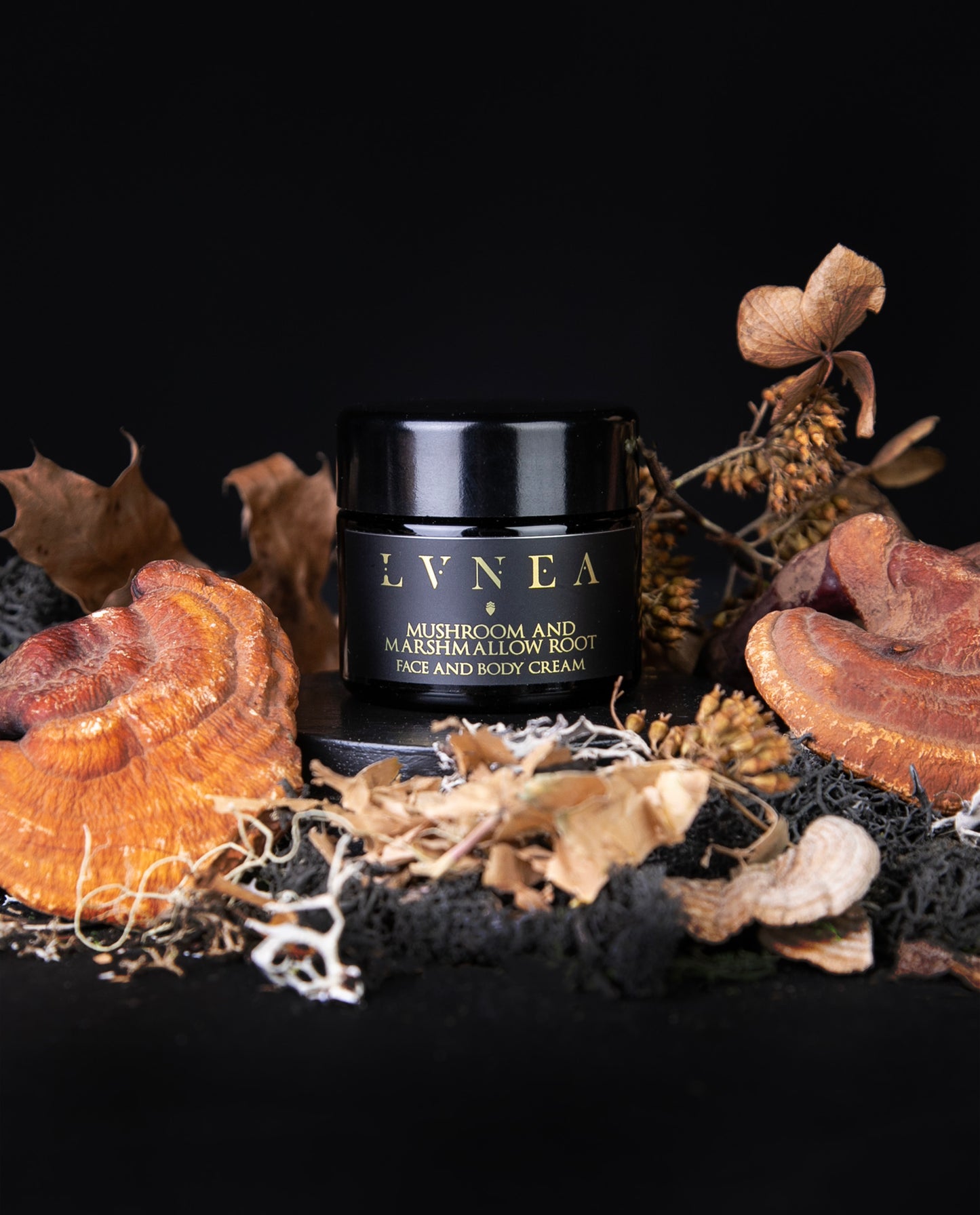 CHAMPIGNON & RACINE DE GUIMAUVE | Crème Visage et Corps
