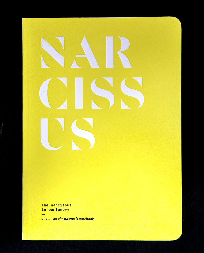 "Narcissus in Perfumery" book on black background. The cover is yellow and reads "NARCISSUS" in bold white letters
