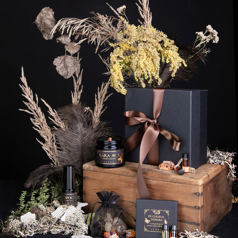 
                      
                        items from LVNEA's limited edition "Histoires Naturelles" box in a still life propped around an antique wooden crate and various natural specimens
                      
                    