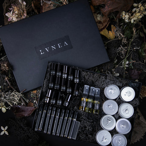 Sample set of LVNEA's entire signature line of perfumes in a black moss-ladden box, sitting on a bed of dead leaves and dried botanicals.