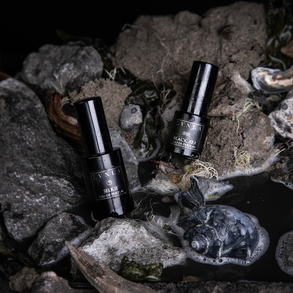 
                      
                        Bottles LVNEA's cult classic marine fragrances "Selkie" and "Black Sea" on a grey textured background of rocks and shells
                      
                    