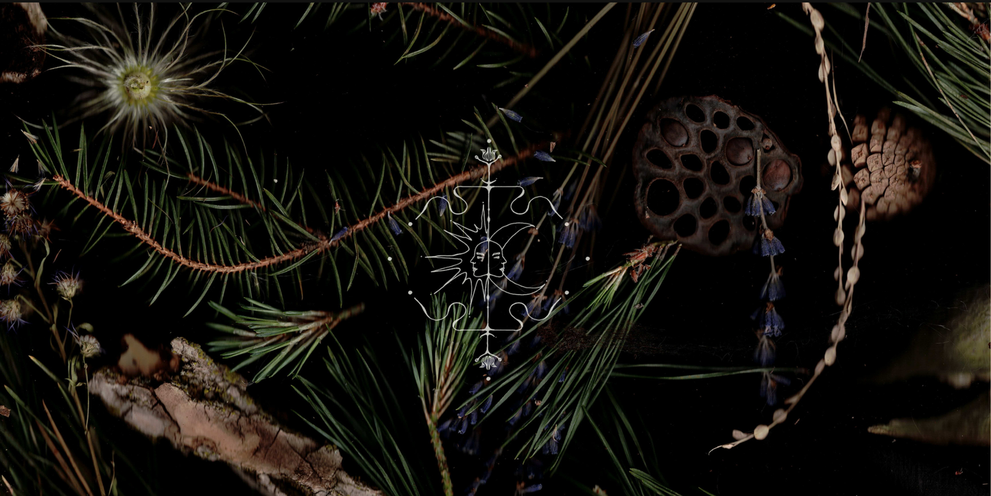 Lvnea Perfume