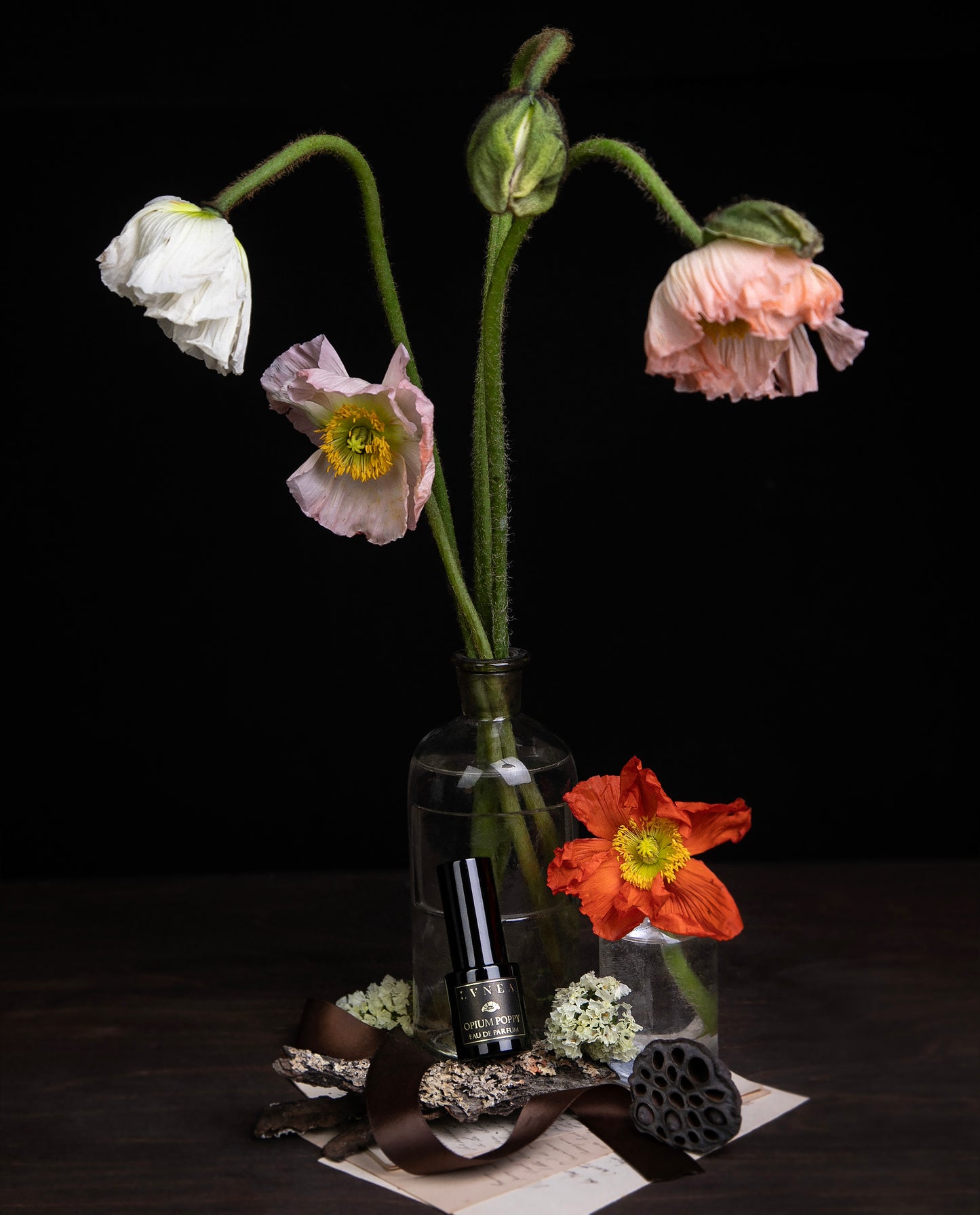 POPPY |  Eau de Parfum - Cocoa, orris, and labdanum