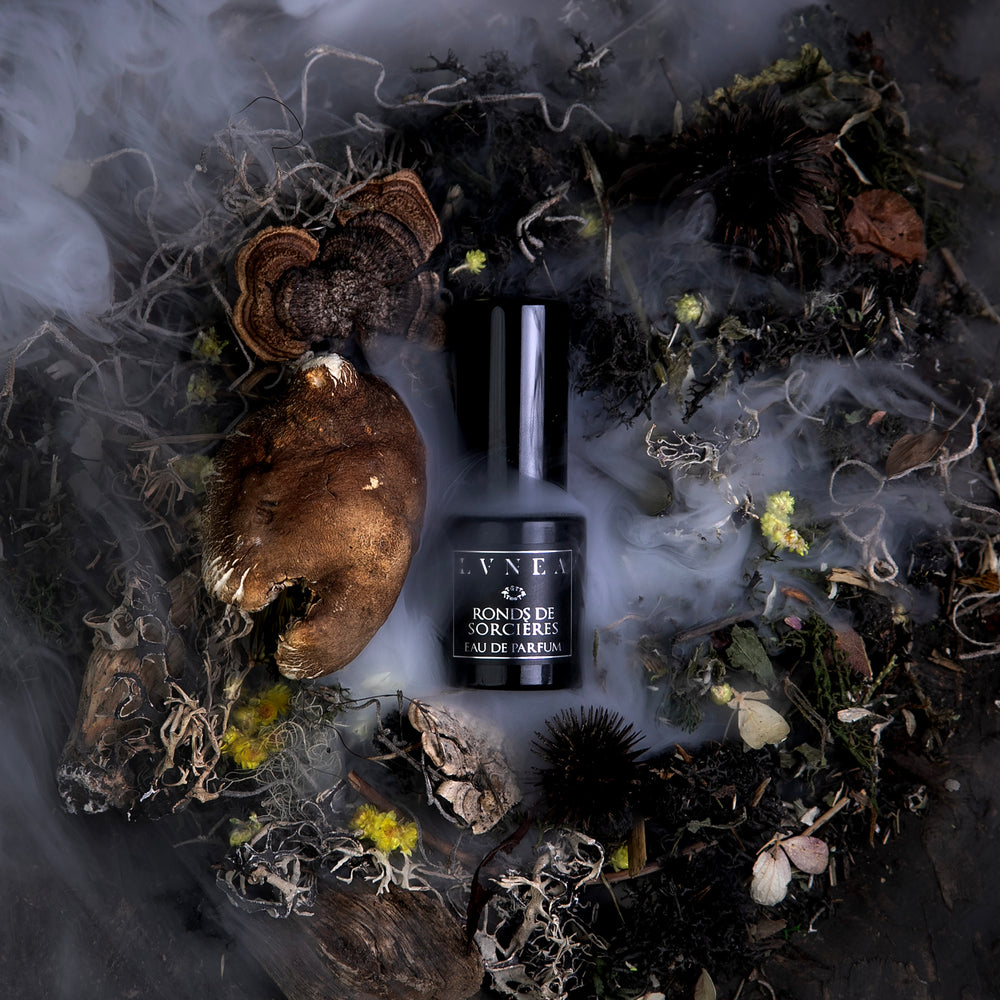 A 15ml black glass bottle of LVNEA's limited-edtion perfume "Ronds de Sorcières" seen from above, nestled in the centre of a circle of moss, mushrooms, and dried botanicals with dense smoke billowing around.