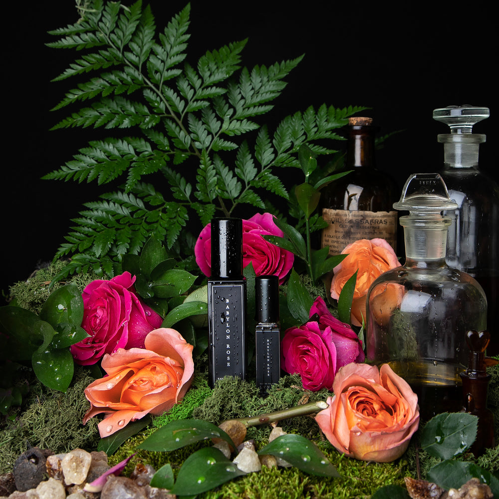 
                      
                        8ml and 30ml black glass bottles of LVNEA's Babylon Rose perfume, sitting on a bed of dewy roses and moss, with ferns and apothecary bottles in the background.
                      
                    
