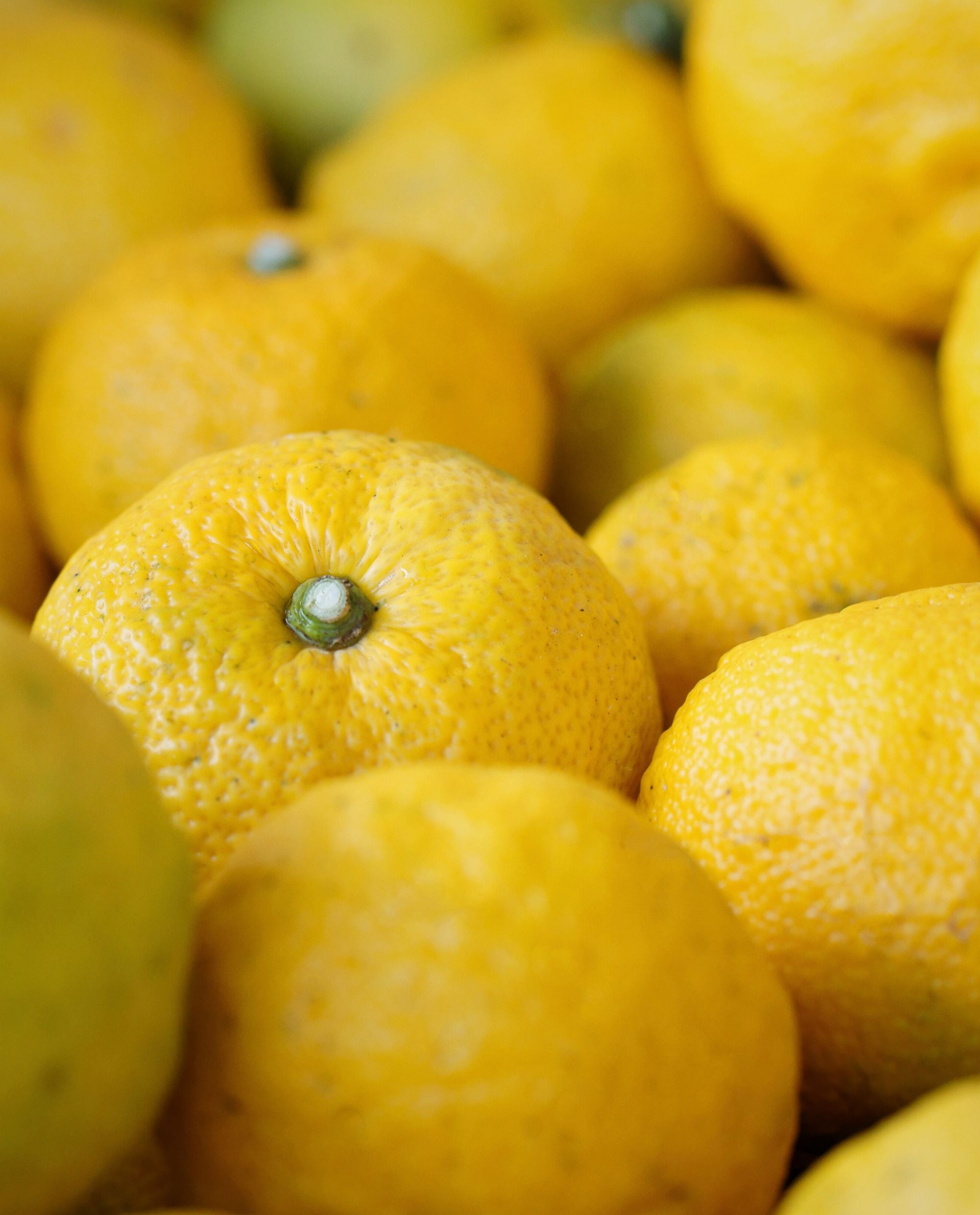 yuzu YUZUCO Yuzu Super Juice