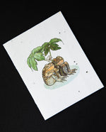 cream-coloured greeting card with illustration of two toads huddled together under a leaf. The cardstock is textured and studded with seeds.