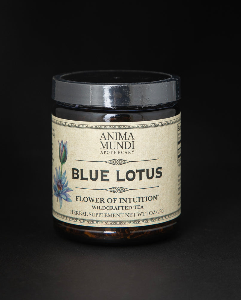 Thé de fleurs de lotus bleu | APOTHICAIRE ANIMA MUNDI