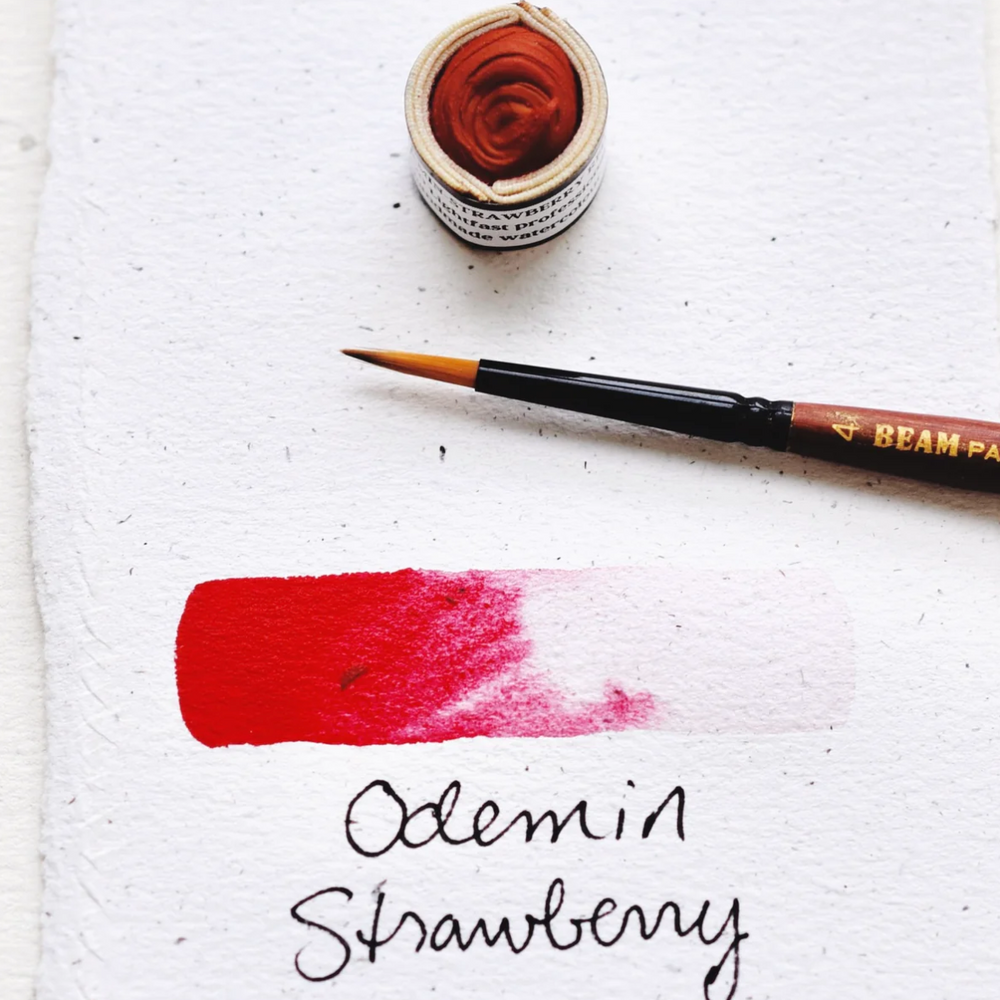 
                      
                        Aquarelles naturelles | BEAM PAINTS
                      
                    