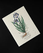 Carte plantable "Blue Flag Iris" | SMALL VICTORIES