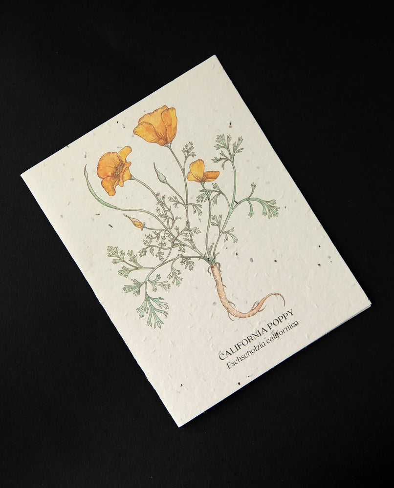 Carte plantable "California Poppy" | SMALL VICTORIES
