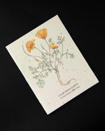 Off-white greeting card with botanical illustration of California Poppy. The cardstock is textured and studded with seeds.