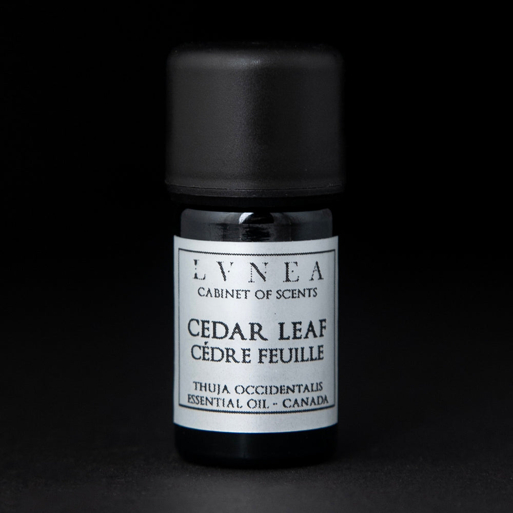 5ml black glass bottle with silver label of LVNEA's cedar leaf essential oil on black background
