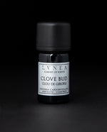 CLOVE BUD ABSOLUTE | Pure Plant Extract