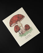 Cream coloured greeting card with botanical illustration of fly agaric mushrooms. The cardstock is textured and studded with seeds.