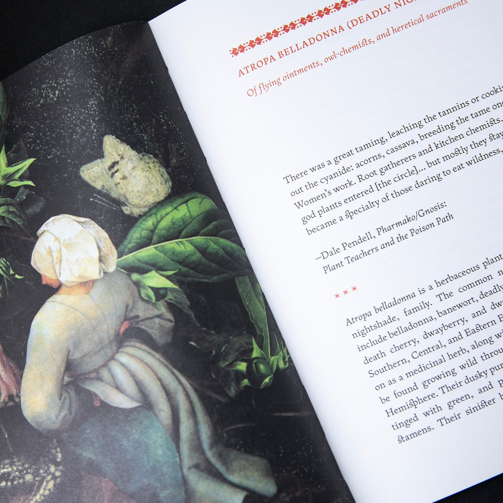 
                      
                        The Invisible Harvest: A Microhistory of Heretical Herbs | BROCCOLI
                      
                    