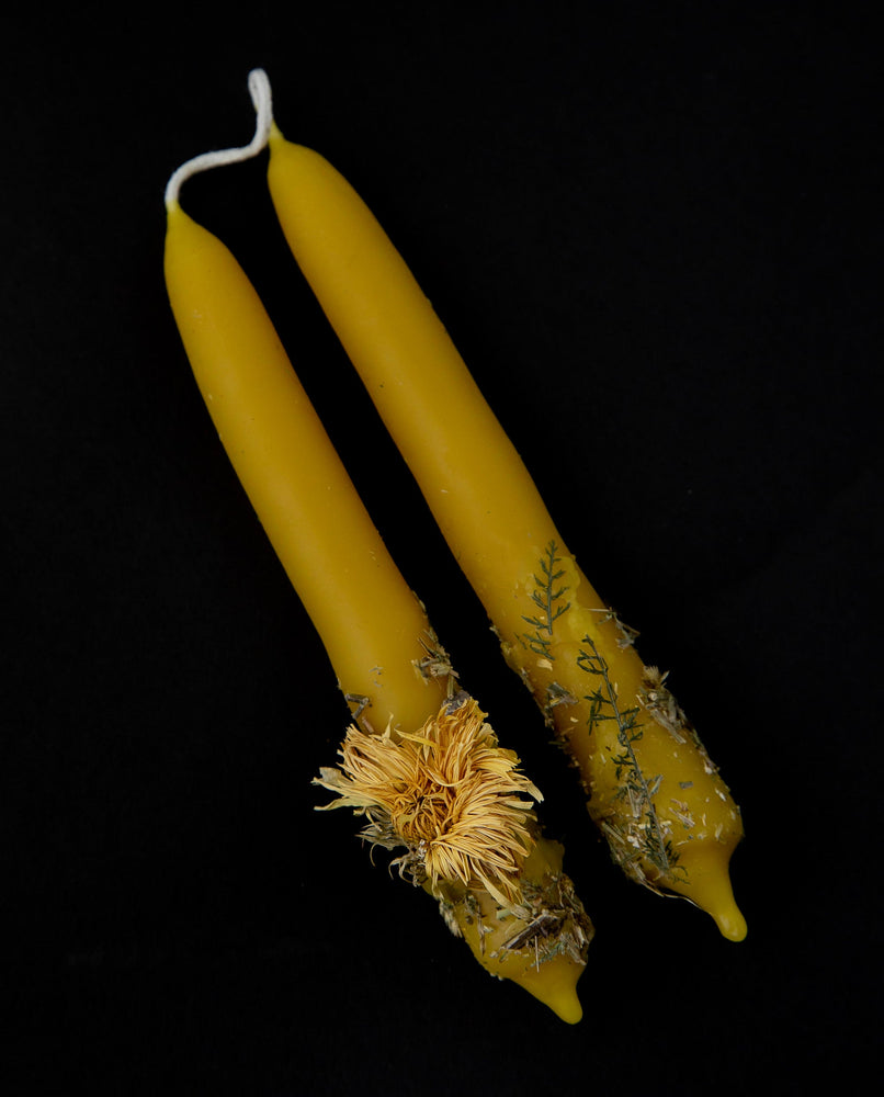 Pair of beeswax tapers adorned with dried yarrow and calendula on a black background.