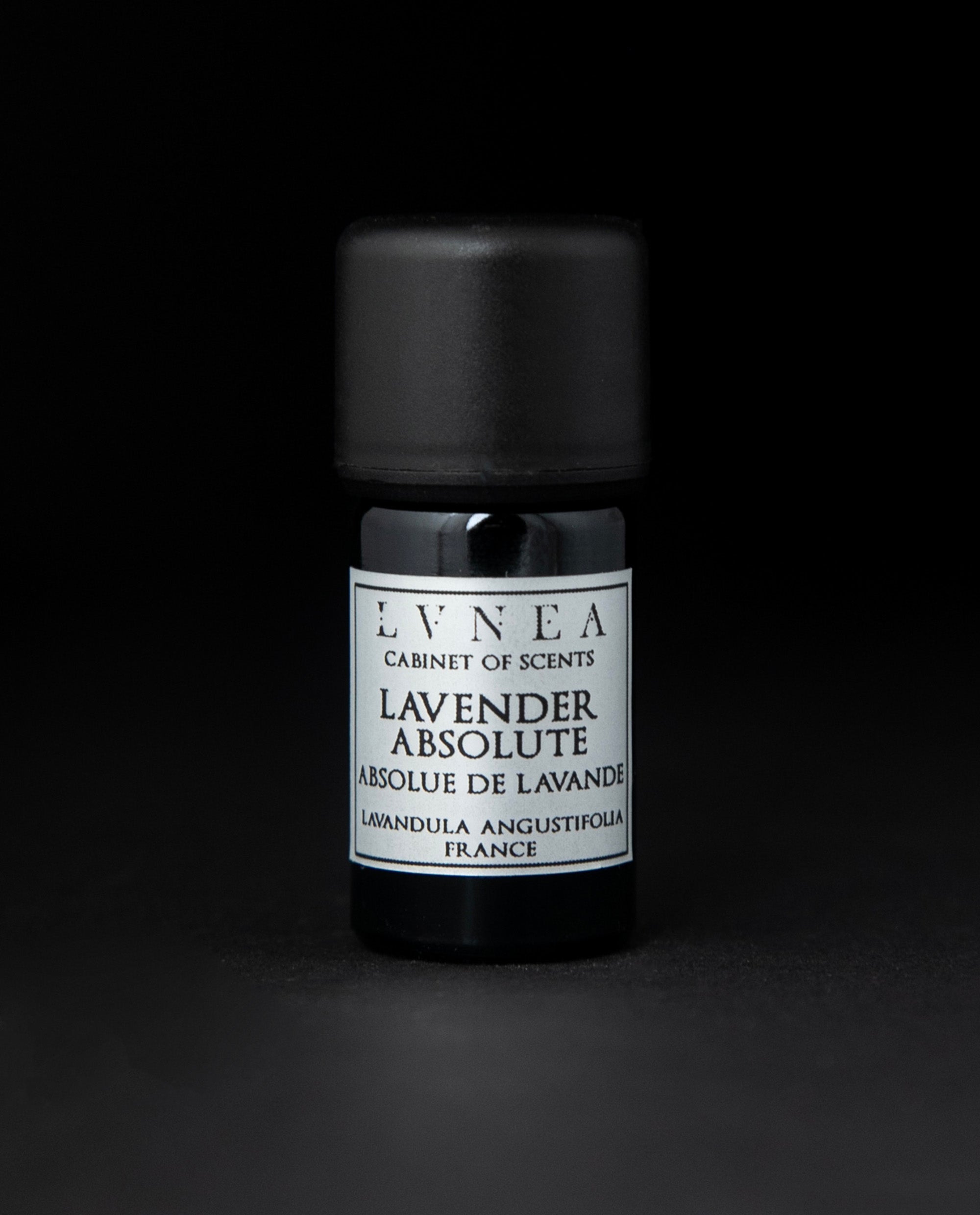 LAVENDER | Absolute