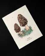 Carte plantable "Morel Mushroom" | THE BOWER STUDIO