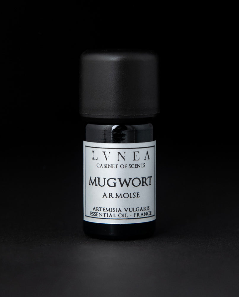 5ml black glass bottle of LVNEA's mugwort essential oil on black background. The label on the bottle is silver.