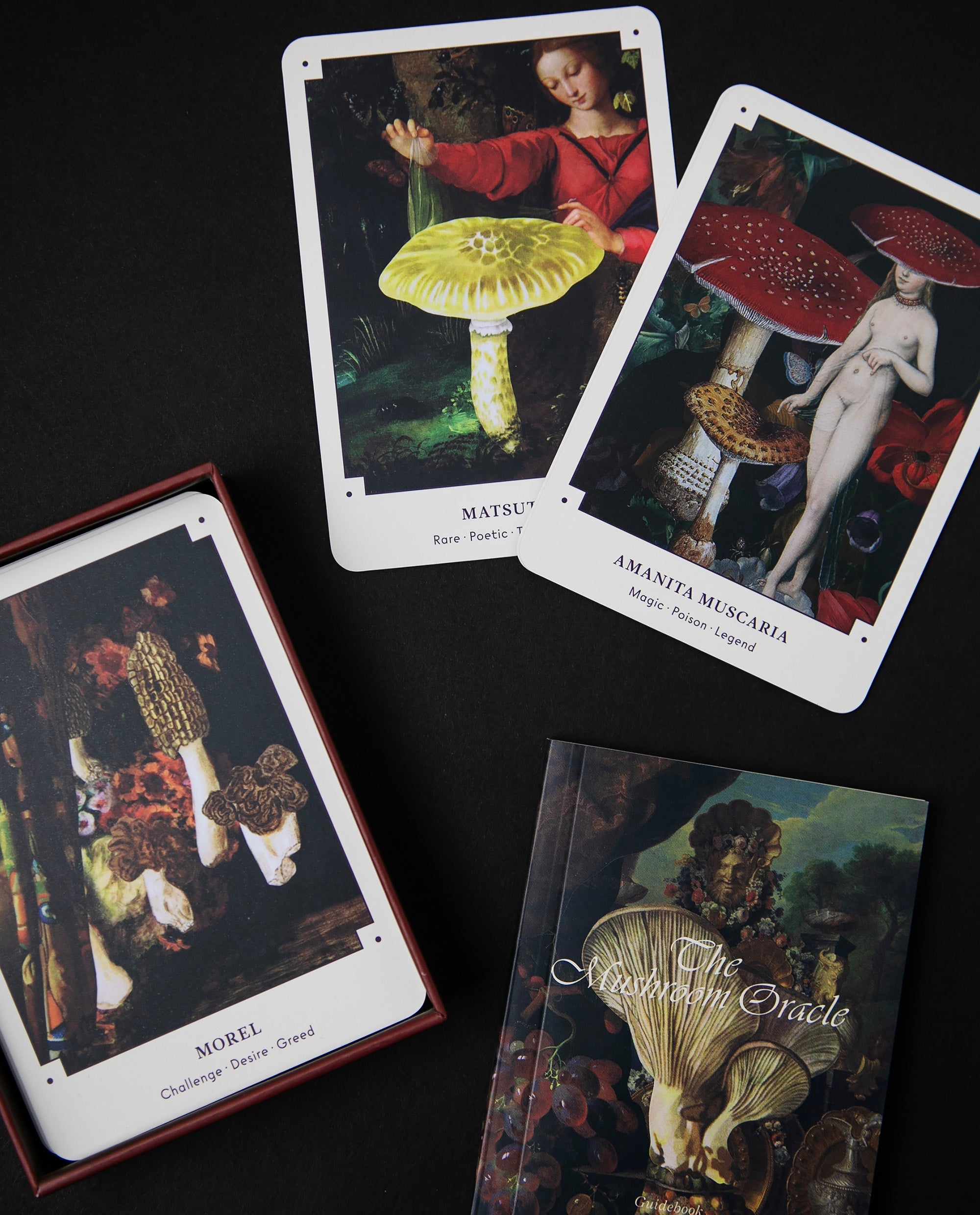 tanico★オラクル The Mushroom Oracle Deck | BROCCOLI