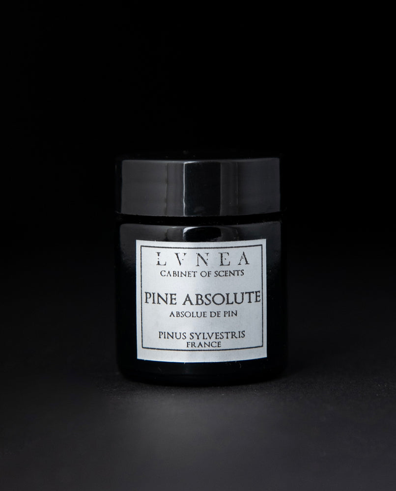 Black glass jar of LVNEA's pine absolute on black background