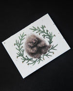 Carte plantable "North American Porcupine & Hemlock" | SMALL VICTORIES