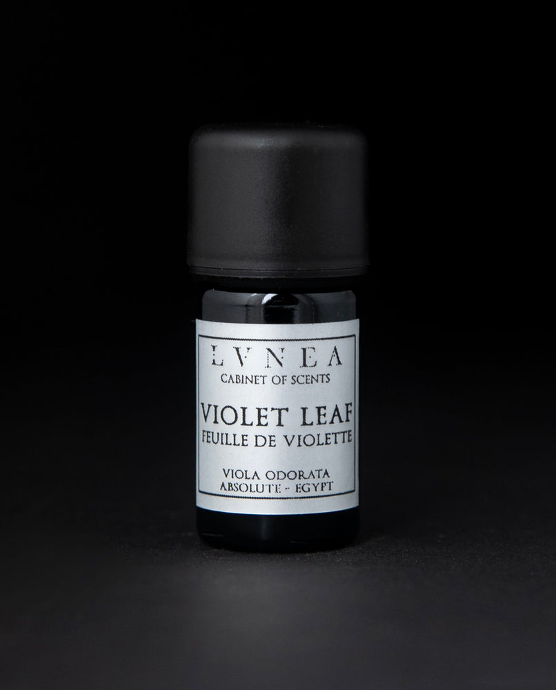 VIOLET LEAF ABSOLUTE | Pure Plant Extract